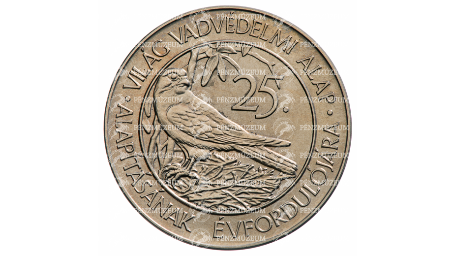12699-rv.png